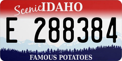 ID license plate E288384