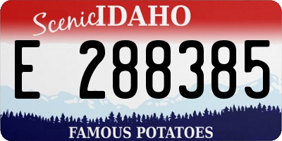 ID license plate E288385