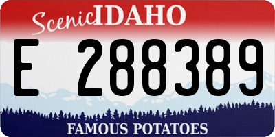 ID license plate E288389