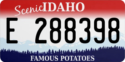 ID license plate E288398