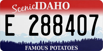 ID license plate E288407
