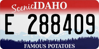 ID license plate E288409