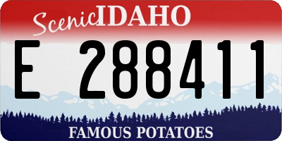 ID license plate E288411