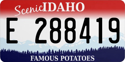 ID license plate E288419