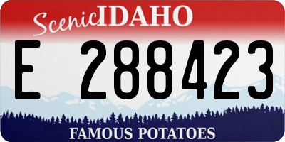 ID license plate E288423