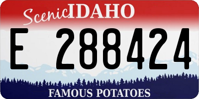 ID license plate E288424
