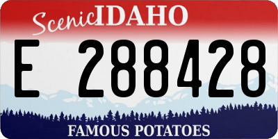 ID license plate E288428
