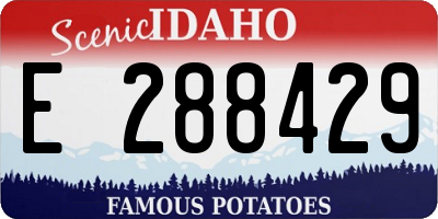 ID license plate E288429