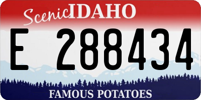 ID license plate E288434