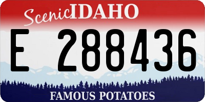 ID license plate E288436