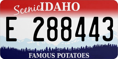 ID license plate E288443