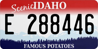ID license plate E288446