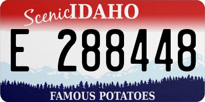 ID license plate E288448