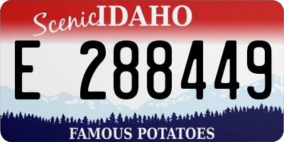 ID license plate E288449