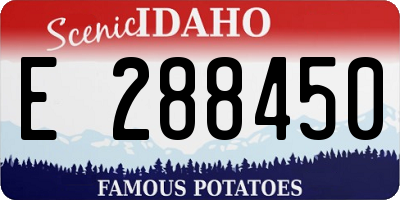 ID license plate E288450
