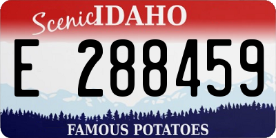 ID license plate E288459