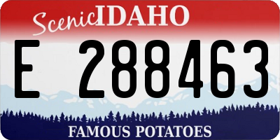 ID license plate E288463