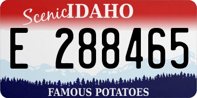 ID license plate E288465