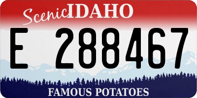 ID license plate E288467
