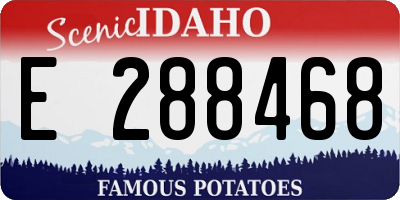 ID license plate E288468
