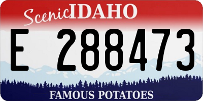ID license plate E288473