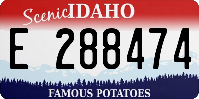 ID license plate E288474
