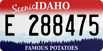 ID license plate E288475
