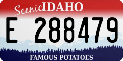 ID license plate E288479