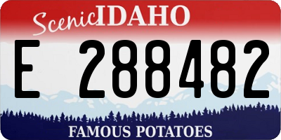 ID license plate E288482