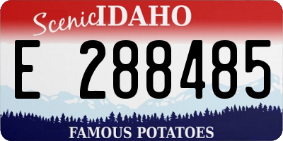 ID license plate E288485