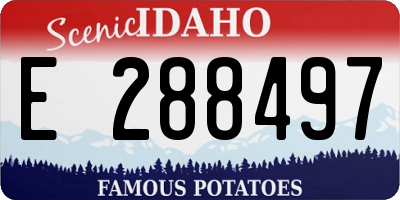 ID license plate E288497