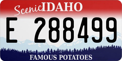 ID license plate E288499