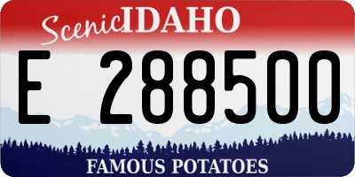 ID license plate E288500