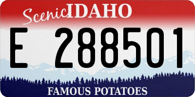 ID license plate E288501