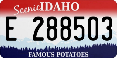 ID license plate E288503