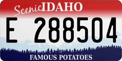 ID license plate E288504
