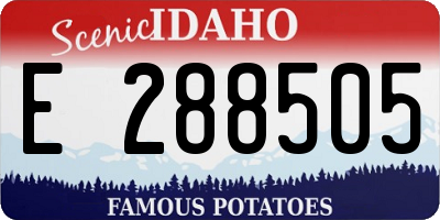ID license plate E288505