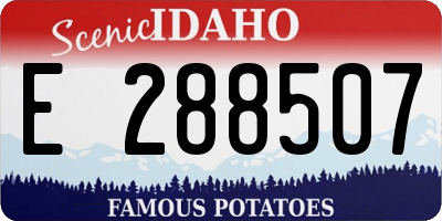 ID license plate E288507