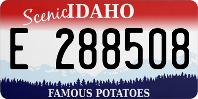 ID license plate E288508