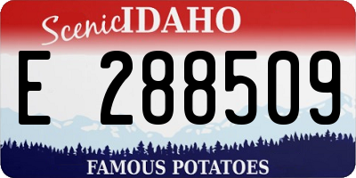 ID license plate E288509