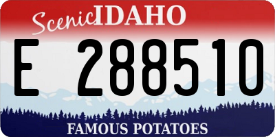 ID license plate E288510