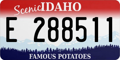 ID license plate E288511