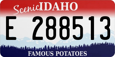 ID license plate E288513
