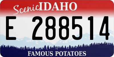 ID license plate E288514