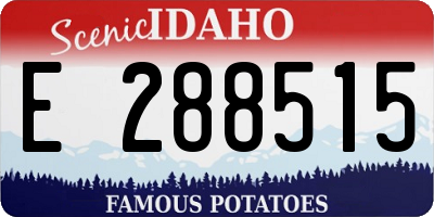 ID license plate E288515