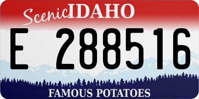 ID license plate E288516