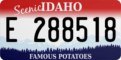 ID license plate E288518