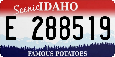 ID license plate E288519