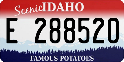 ID license plate E288520