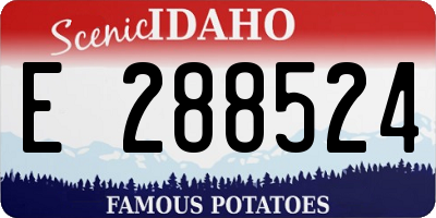 ID license plate E288524